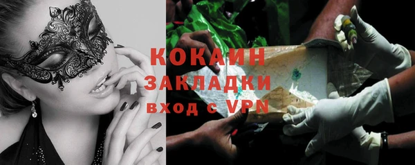 индика Алзамай