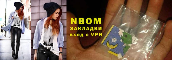 индика Алзамай