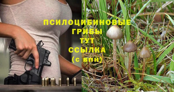 индика Алзамай