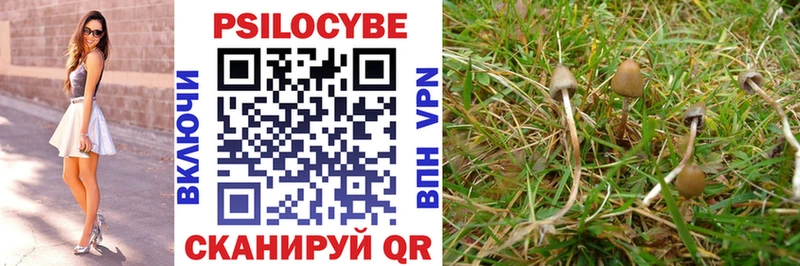 blacksprut вход Белоусово Псилоцибиновые грибы Psilocybine cubensis